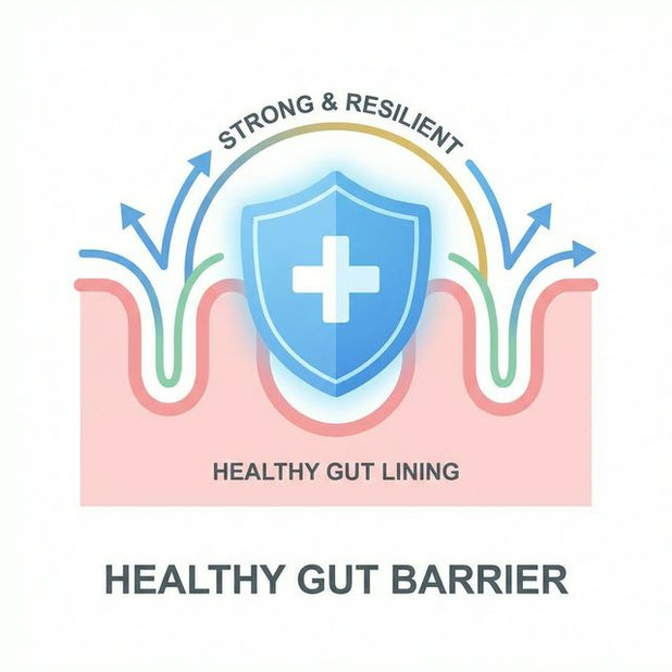 Root Source GR-9 – Root Source Co